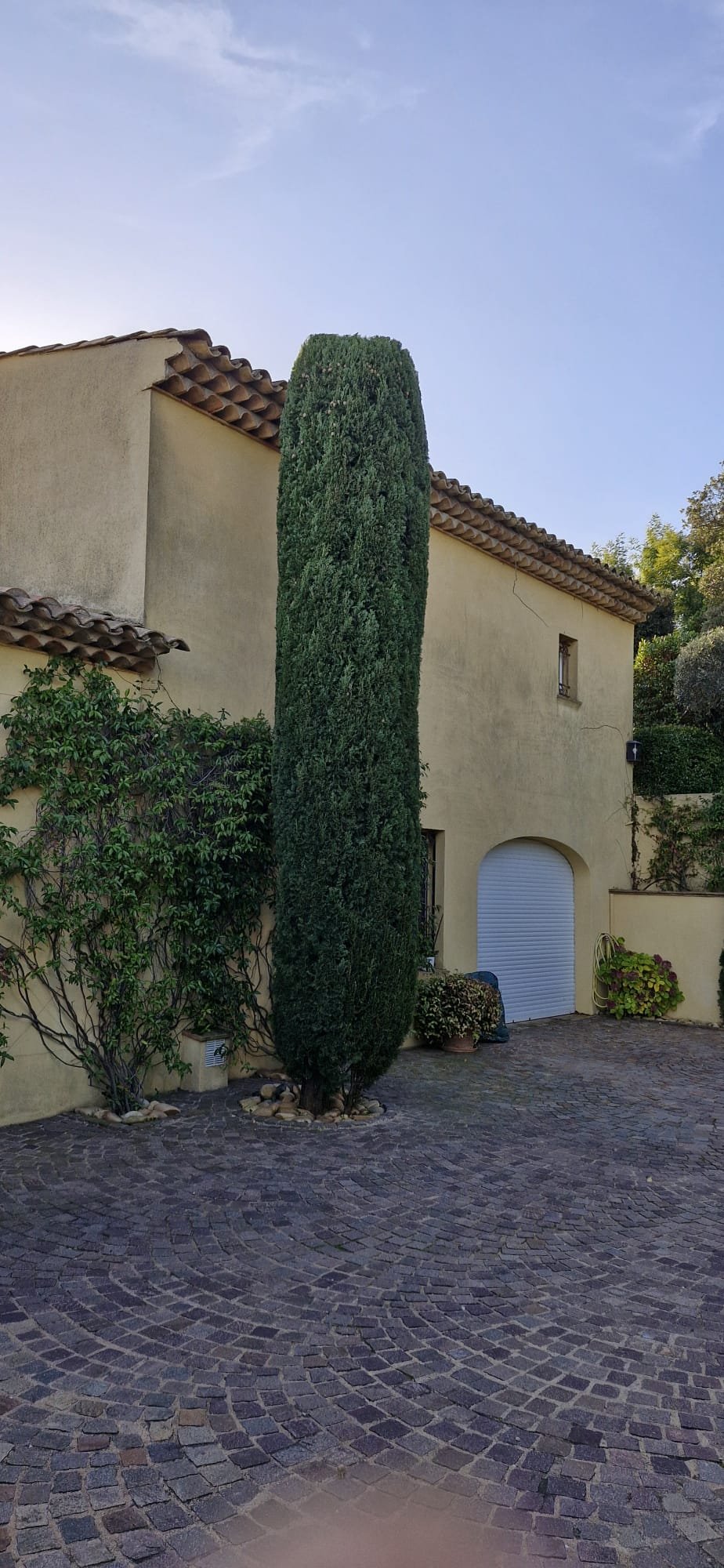 Jardin après