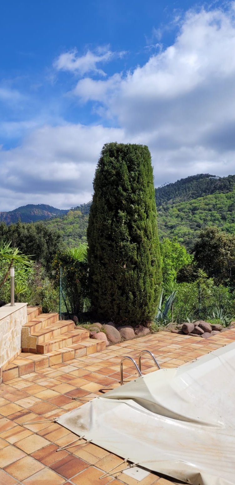 Jardin après