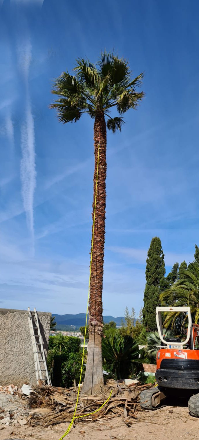 Jardin après