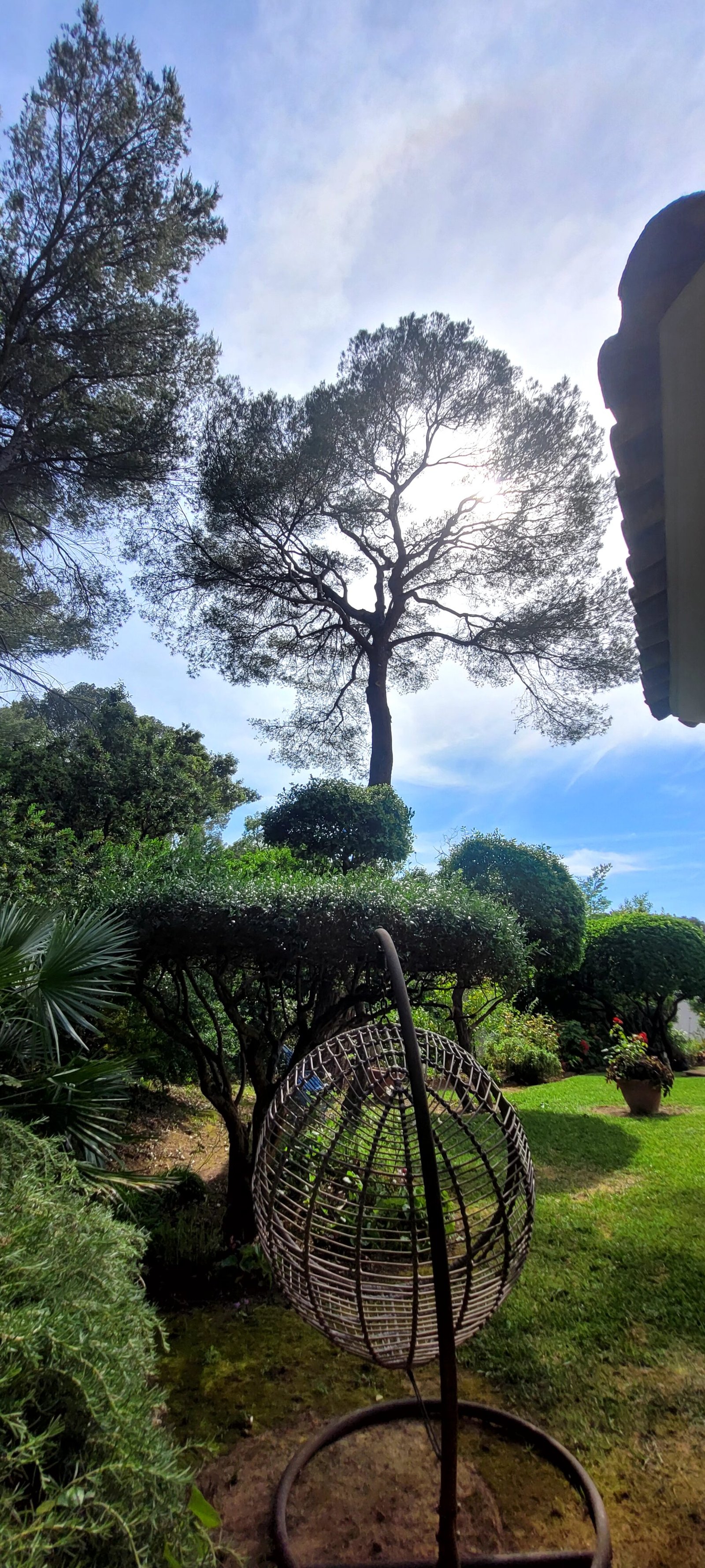 Jardin après