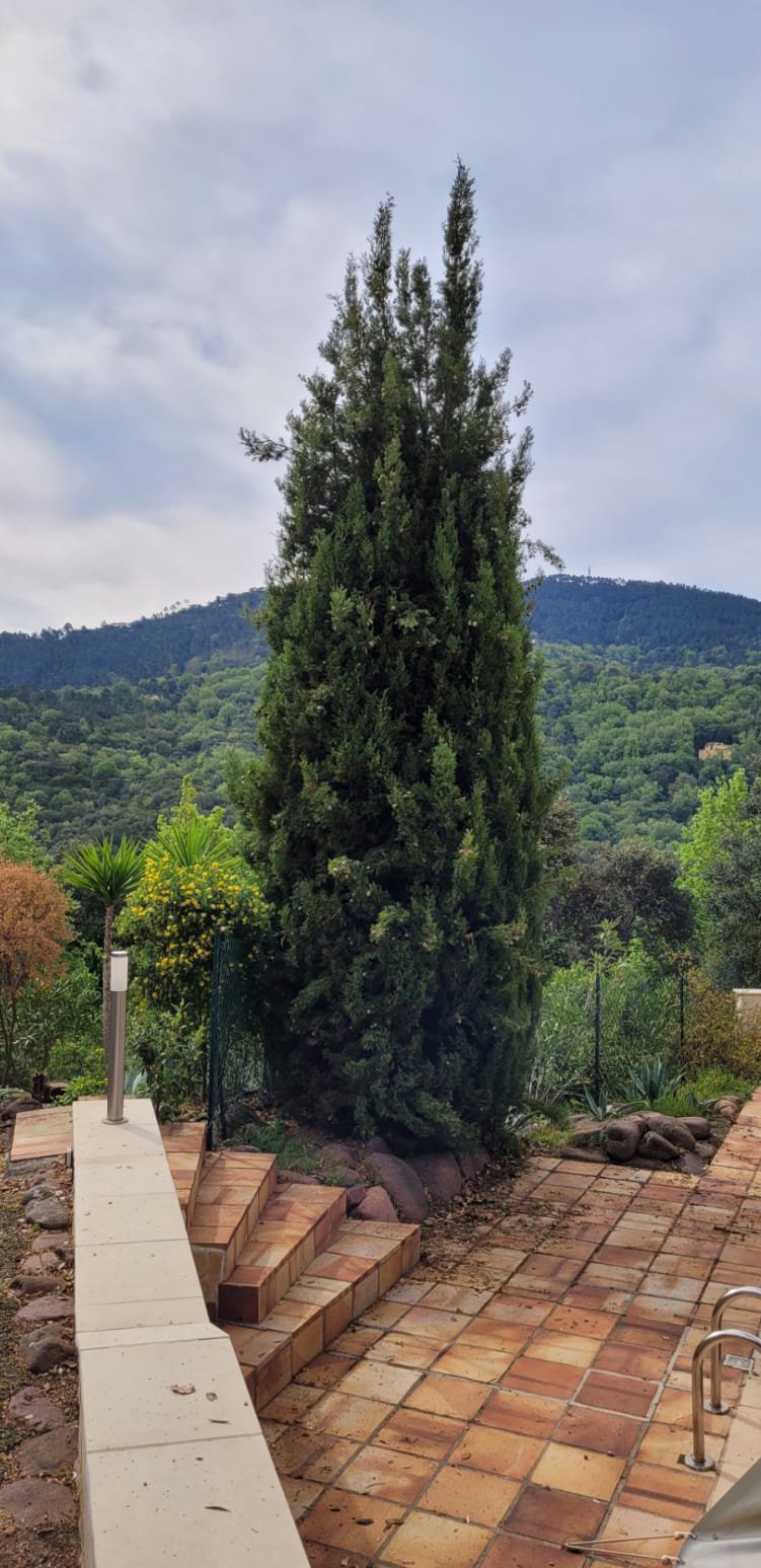 Jardin avant