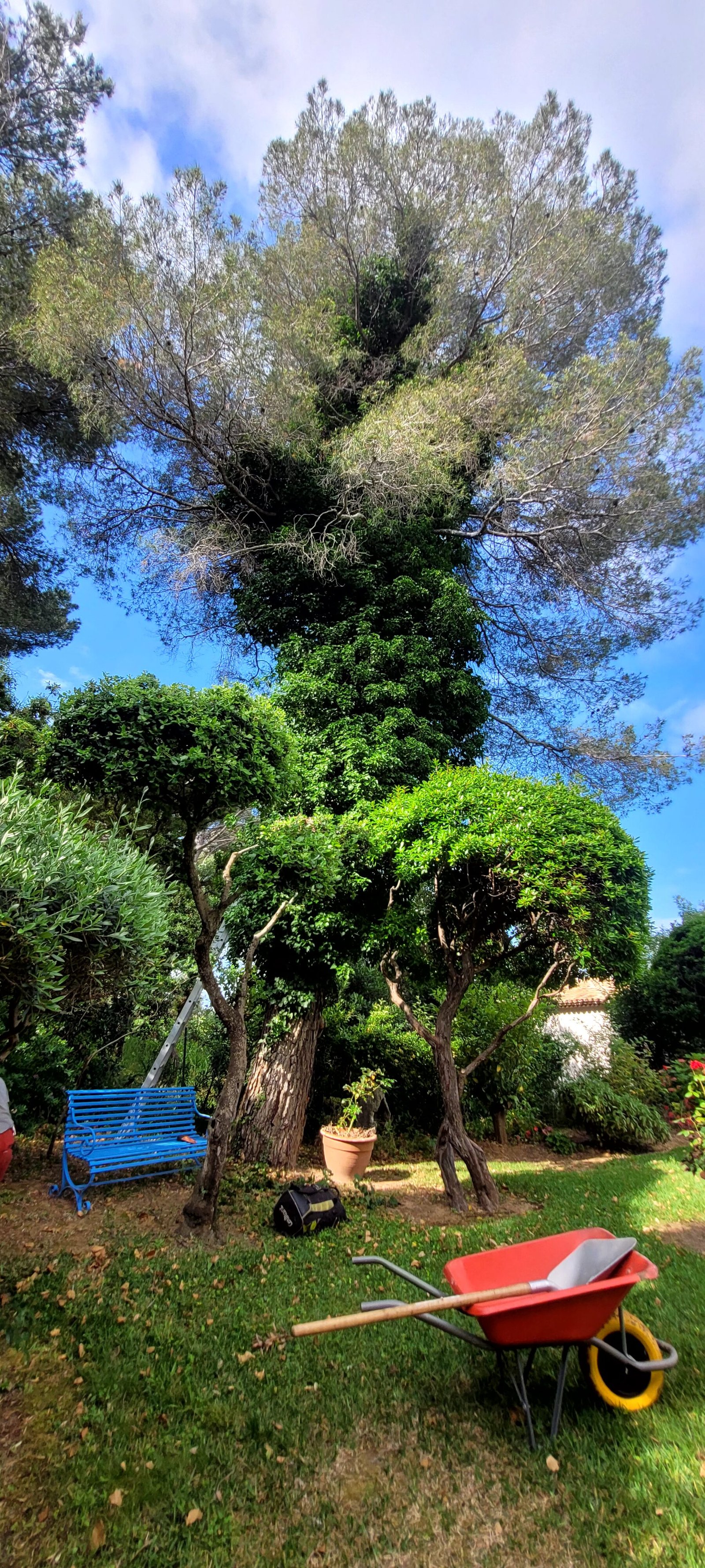 Jardin avant