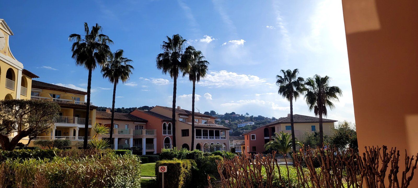 Jardin avant